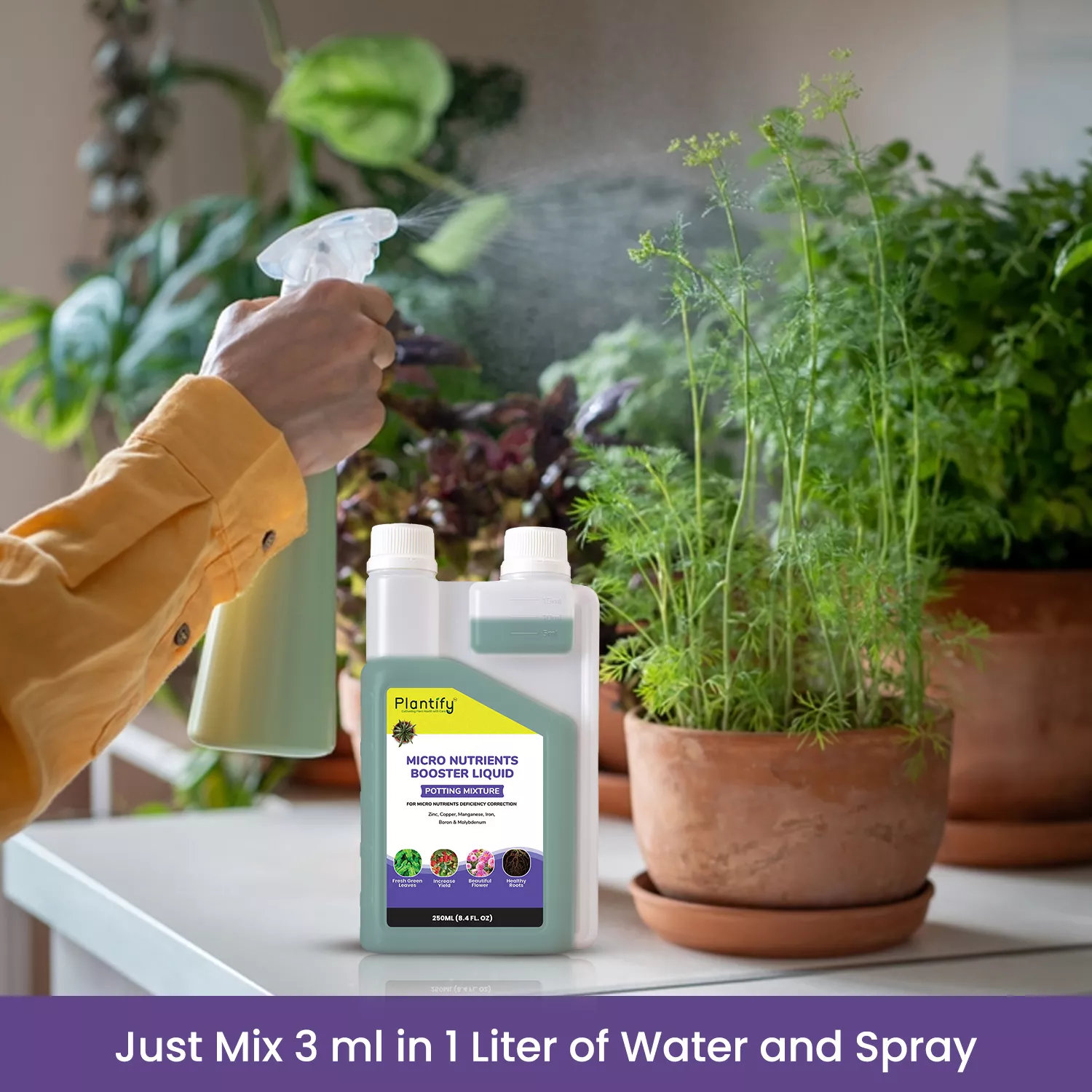 Plantify Micro Nutrients Booster Liquid for Healthy Roots & Leaves - Image 4