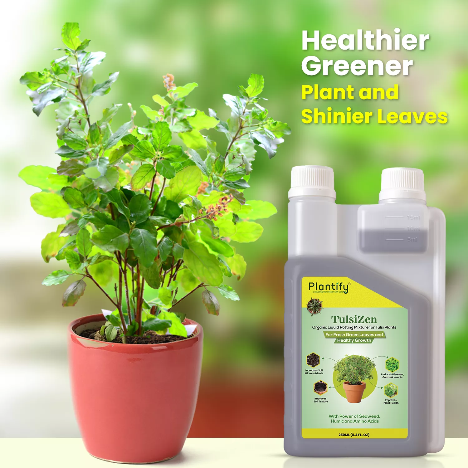 Plantify Plant Food Stick & TulsiZen Potting Mixture - Image 3